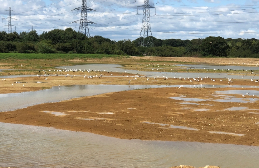 Beddington Farmlands 2