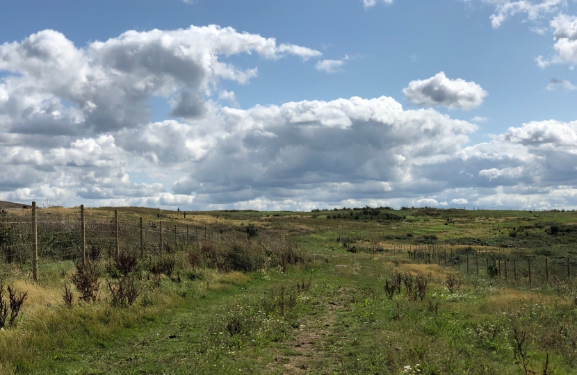 Beddington Farmlands 3