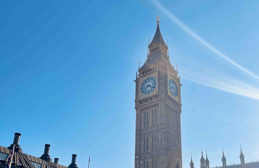 Parliament in the sun